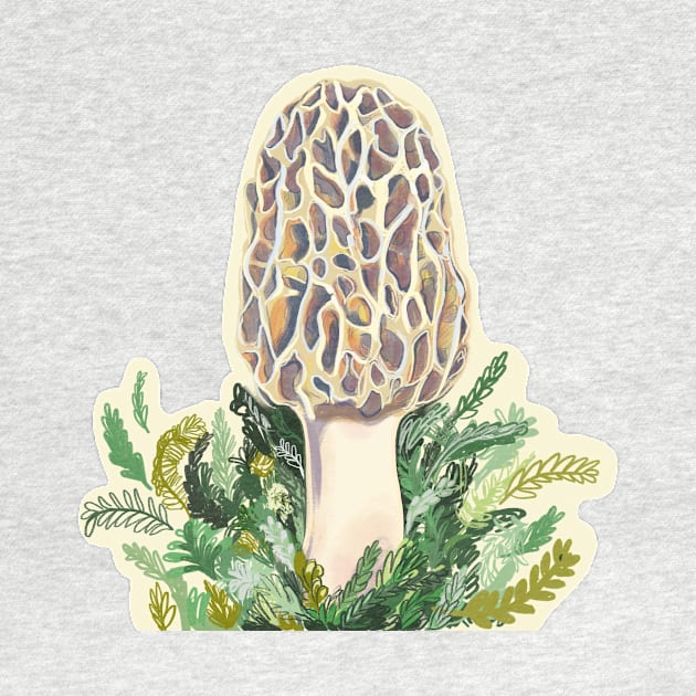 Morel by Sophie Lucido Johnson